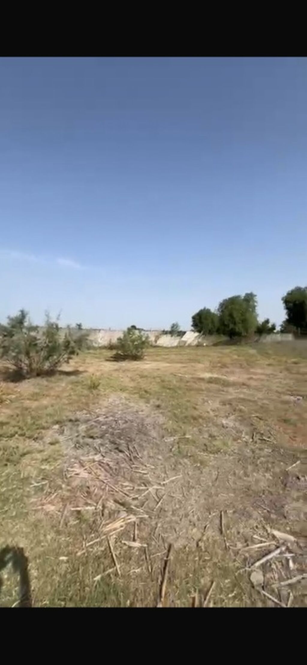 Kənd təsərrüfatı — Torpaq, Beyləqan (5)