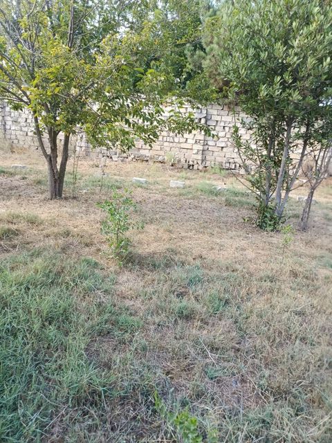 3 sot torpaq sahəsi, Maştağa qəs — Bakı