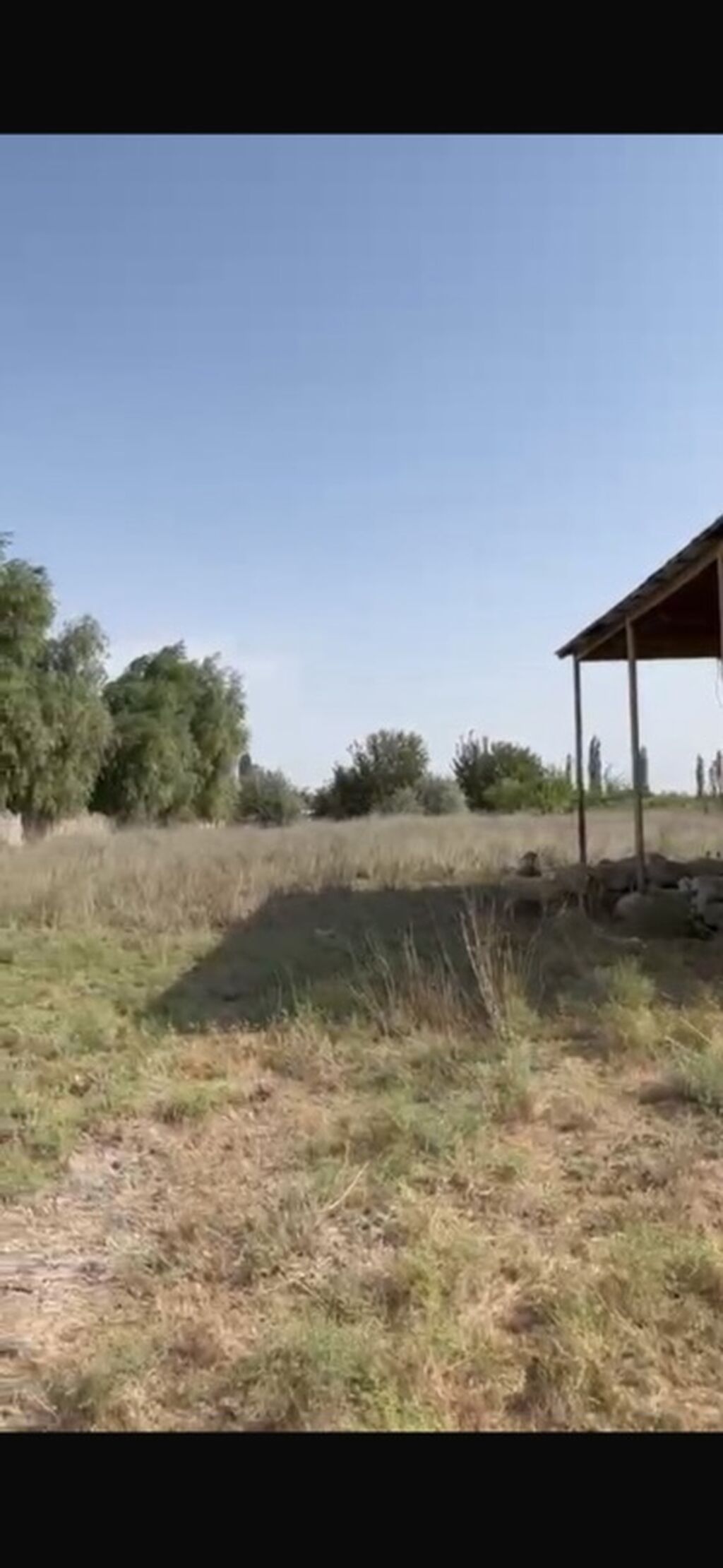 Kənd təsərrüfatı — Torpaq, Beyləqan (7)