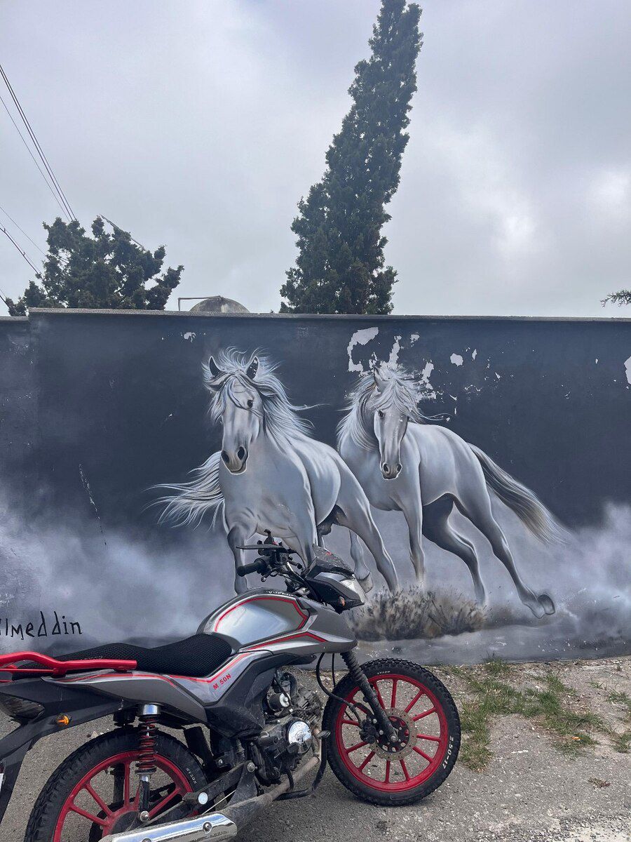 Tufan M50N, 2025 il — Avto, Bakı (4)