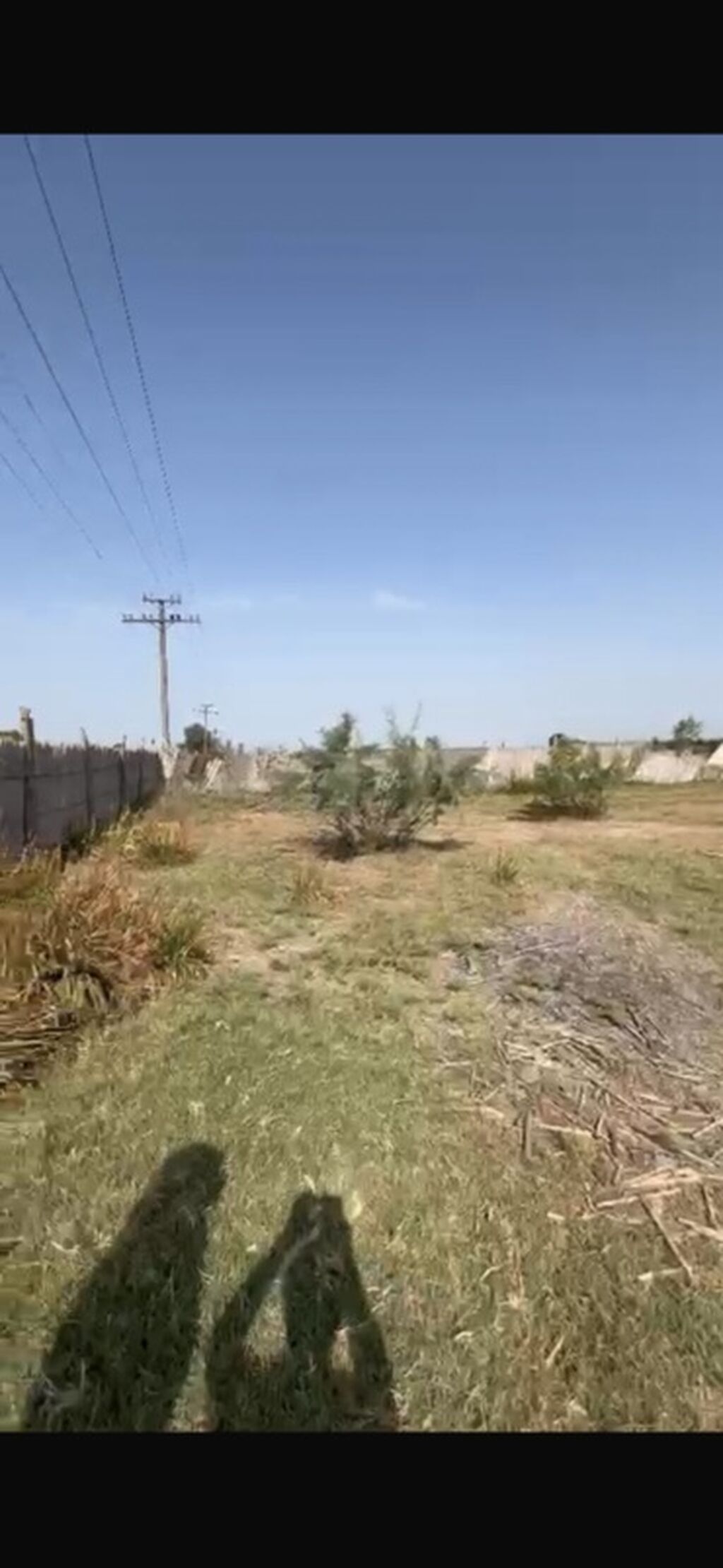 Kənd təsərrüfatı — Torpaq, Beyləqan (4)