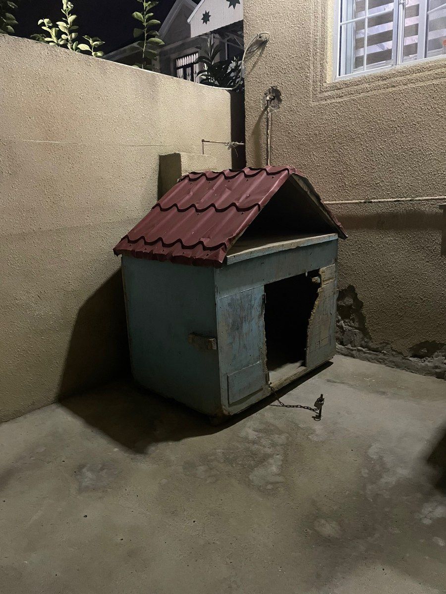 Yuva — Heyvanlar, Bakı (3)