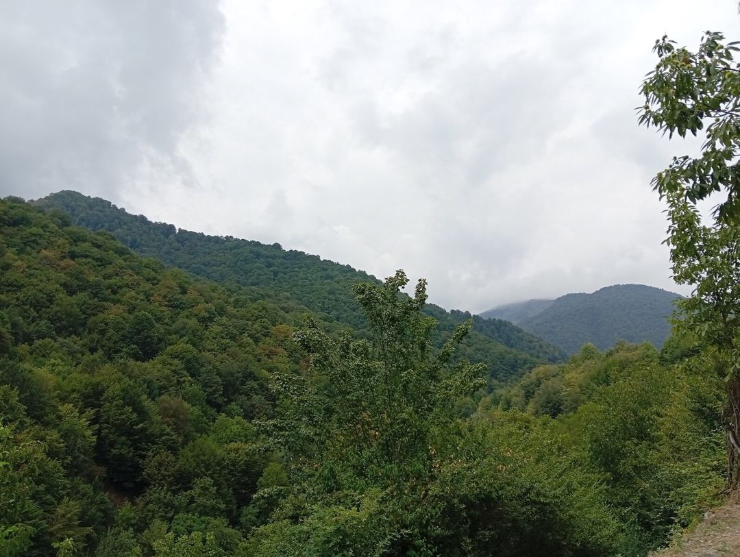 Bağ evi kirayə verilir, İsmayıllı r — Ev, villa, İsmayıllı (3)