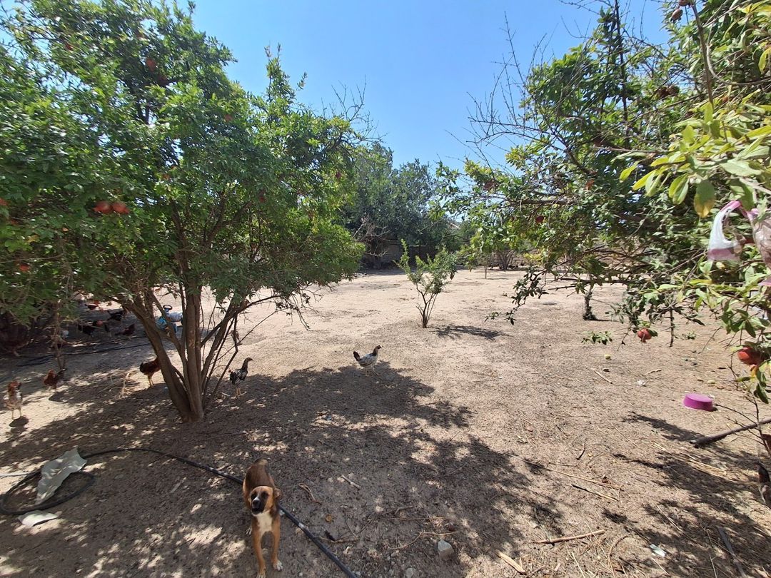 Bağ evi, Bilgəh qəs — Ev, villa, Bakı (9)