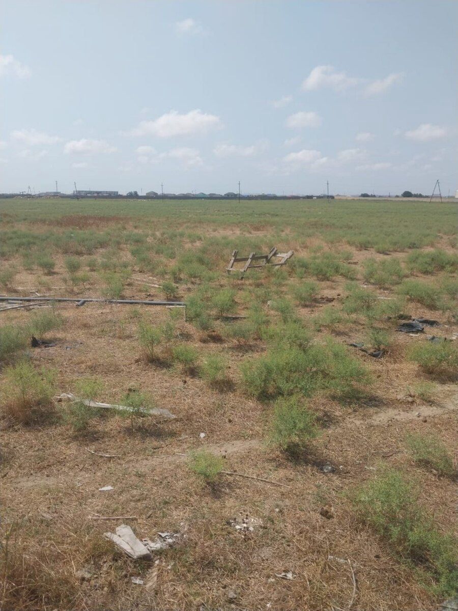 1100 sot torpaq sahəsi, Buzovna qəs — Torpaq, Bakı (5)