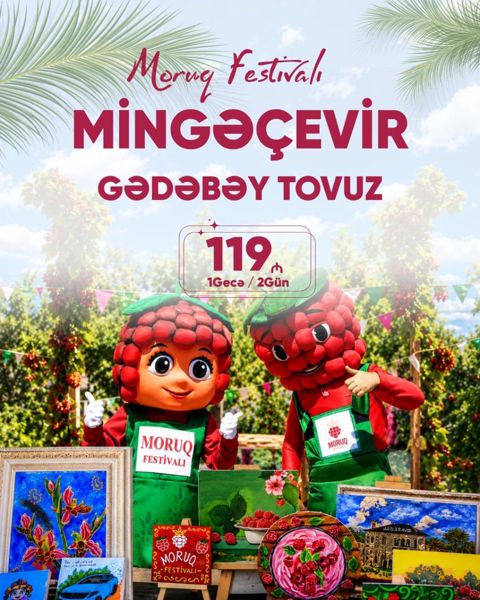 Mingəçevir Gədəbəy Tovuz turu