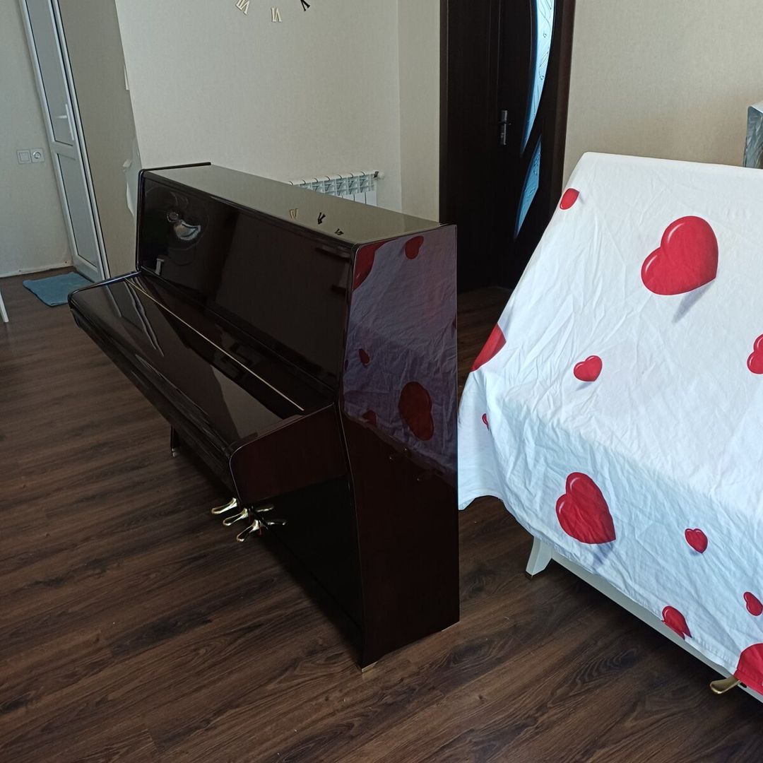 Pianinolar — Musiqiə alətləri, Bakı (4)