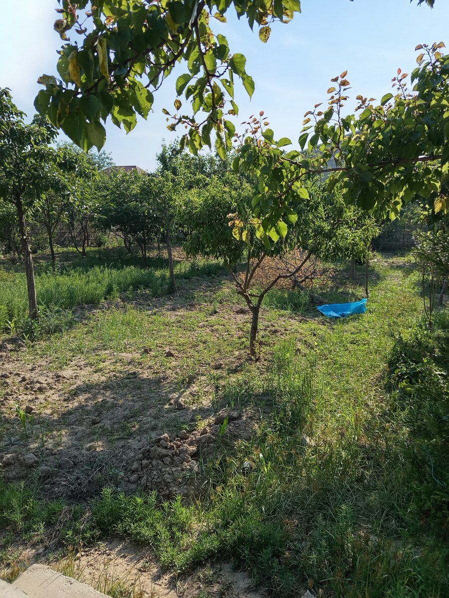 4 sot torpaq sahəsi, Maştağa qəs — Torpaq, Bakı