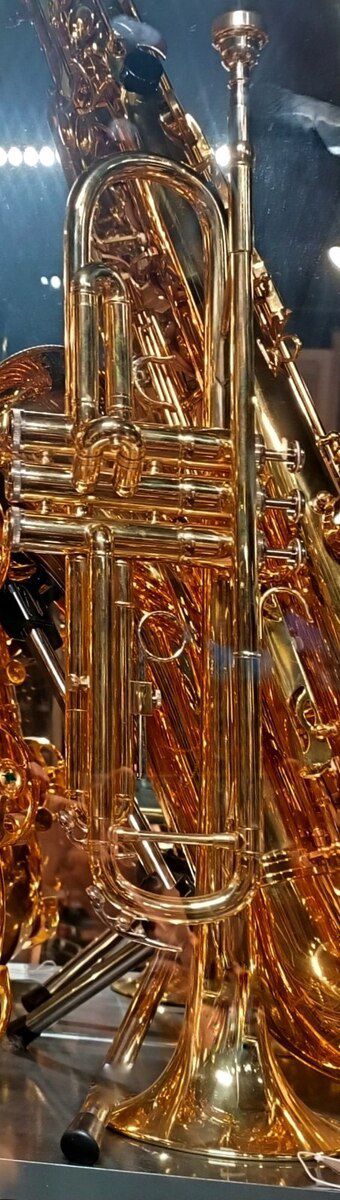 Trumpet — Bakı