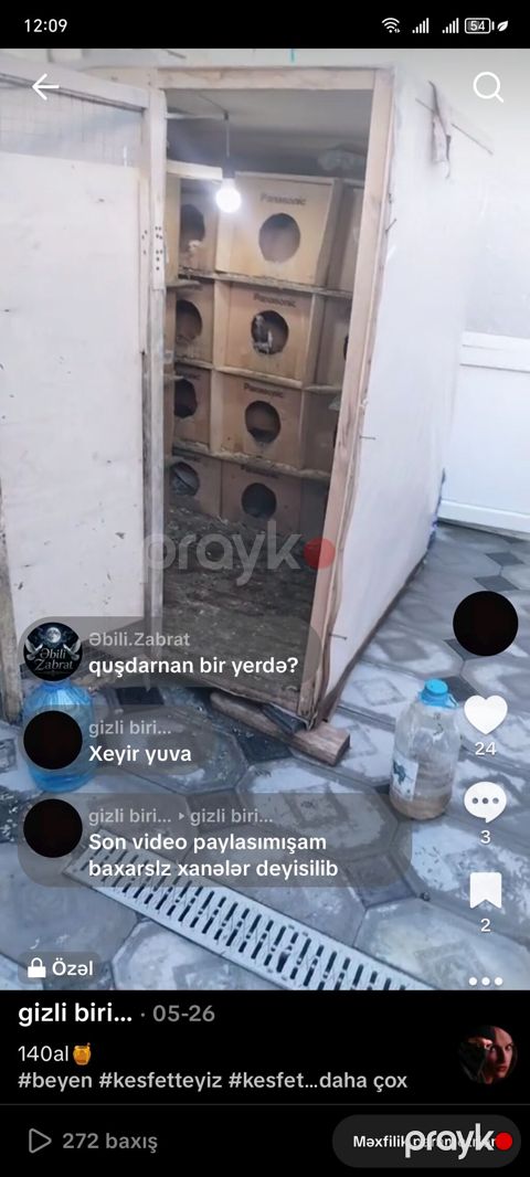 Göyərçin yuvası satılır hündürlüyü 1.50 eni 1.30 uzunu 1. 50 Hər yani