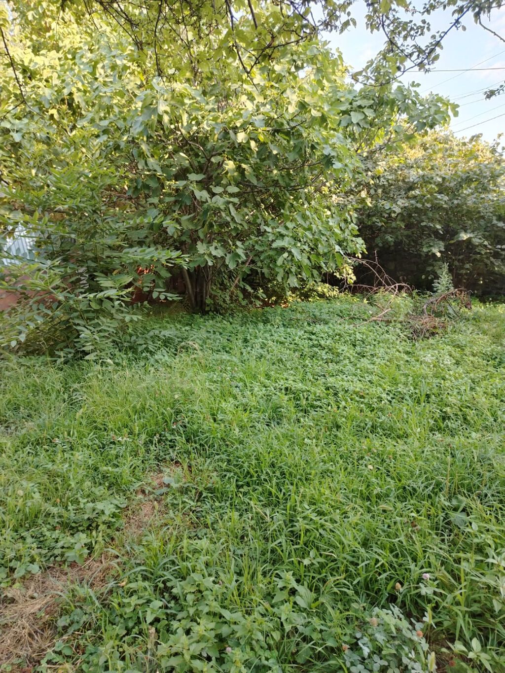 3 sot, Tikinti, Mülkiyyətçi — Torpaq, Şəki