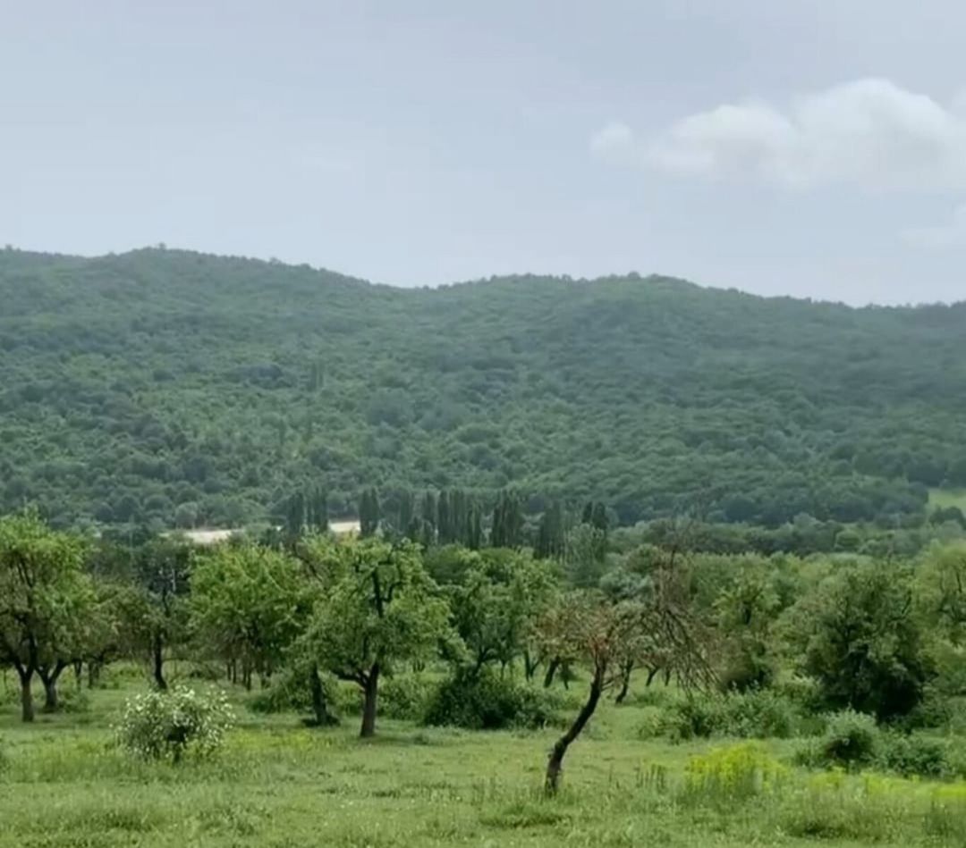 27 sot torpaq sahəsi, Quba r — Torpaq, Quba (5)