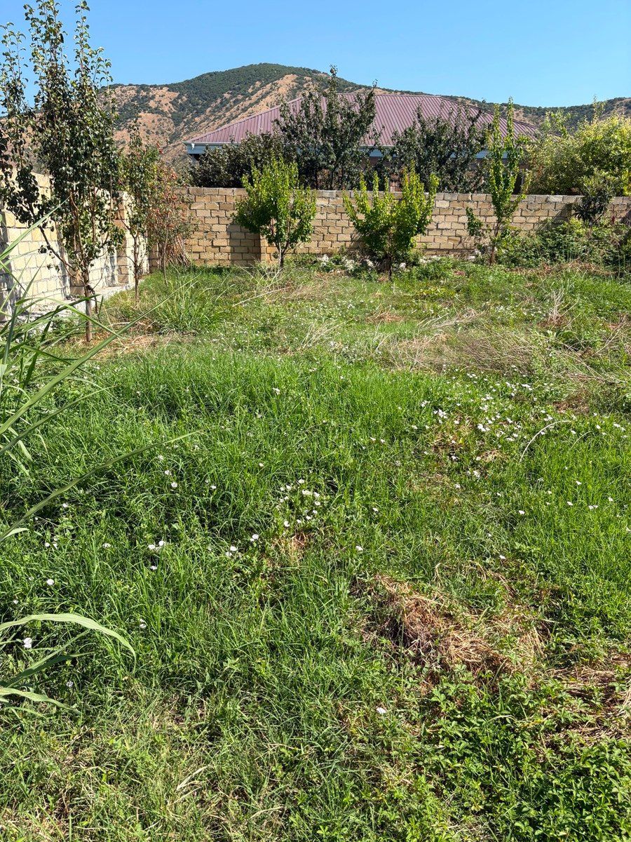 3 sot torpaq sahəsi, Şəki ş. — Torpaq, Şəki (2)