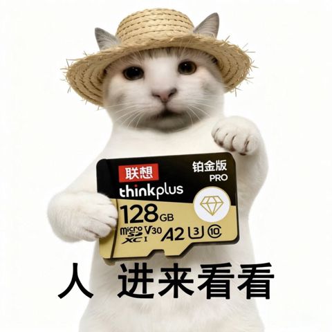 Thinkplus 128GB V30 — Bakı