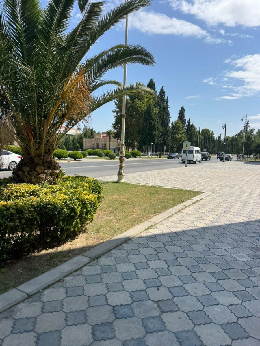3-otaqlı mənzil, Şirvan ş., 70 m² — Mənzil, Şirvan (2)
