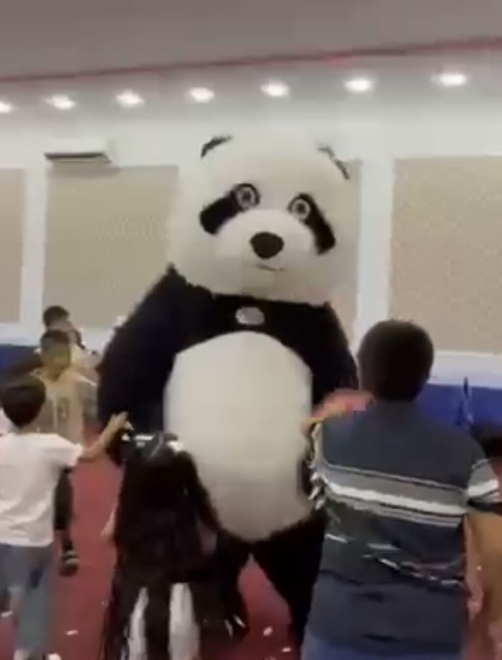 Uşaqlar üçün tədbirə panda maskotu – animator xidməti Təcili Satılır — Xidmətlər, Bakı (2)