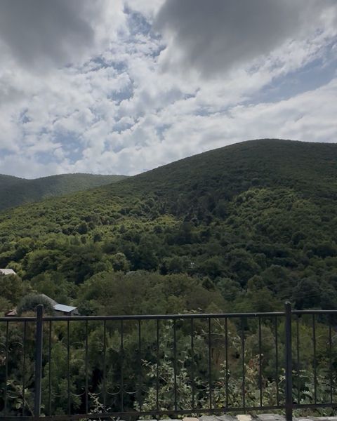 6 sot torpaq sahəsi, Şəki ş — Şəki