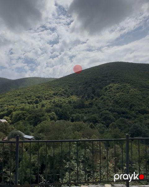 6 sot torpaq sahəsi, Şəki ş