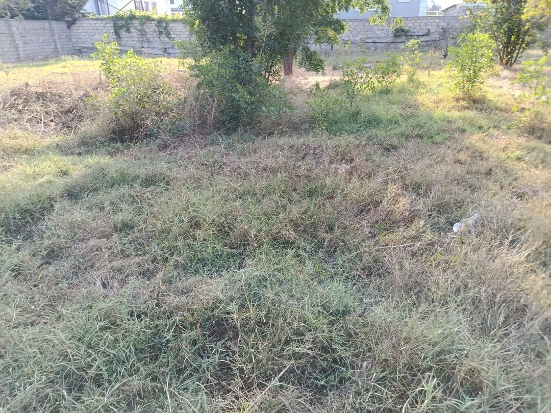 3 sot torpaq sahəsi, Maştağa qəs — Torpaq, Bakı (3)