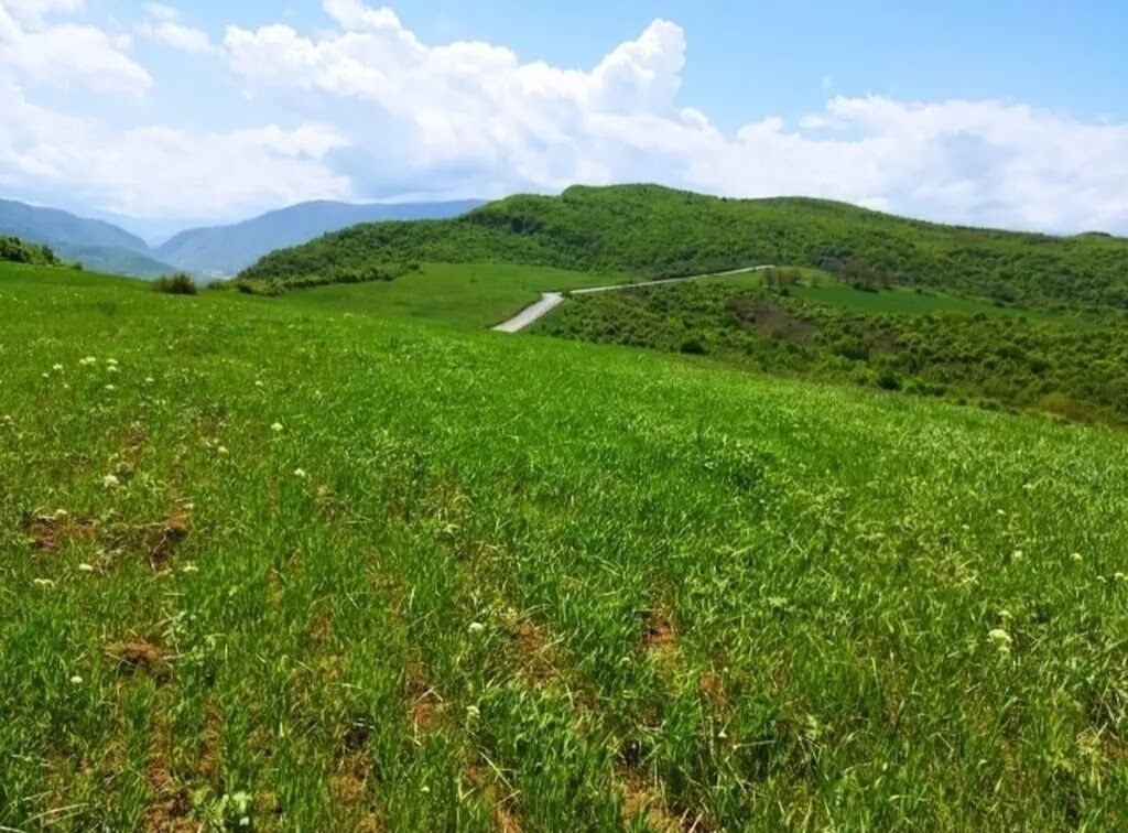 524 sot, Biznes üçün, Barter mümkündür, Kupça (Çıxarış) — Torpaq, Quba