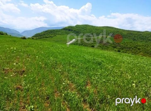 524 sot, Biznes üçün, Barter mümkündür, Kupça (Çıxarış)