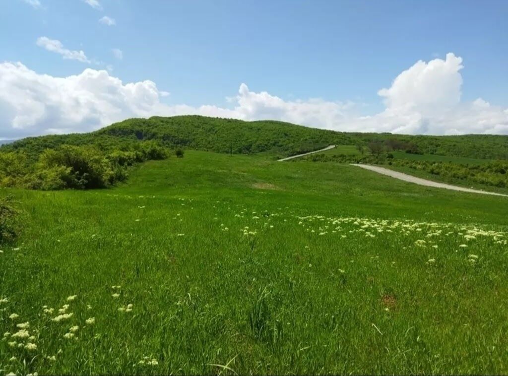 524 sot, Biznes üçün, Barter mümkündür, Kupça (Çıxarış) — Torpaq, Quba (6)
