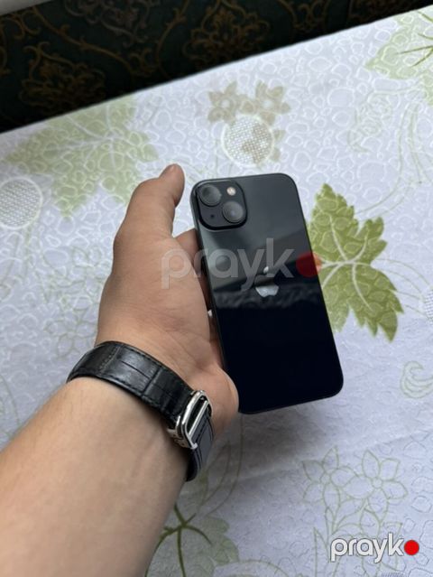 IPhone 13, Qara