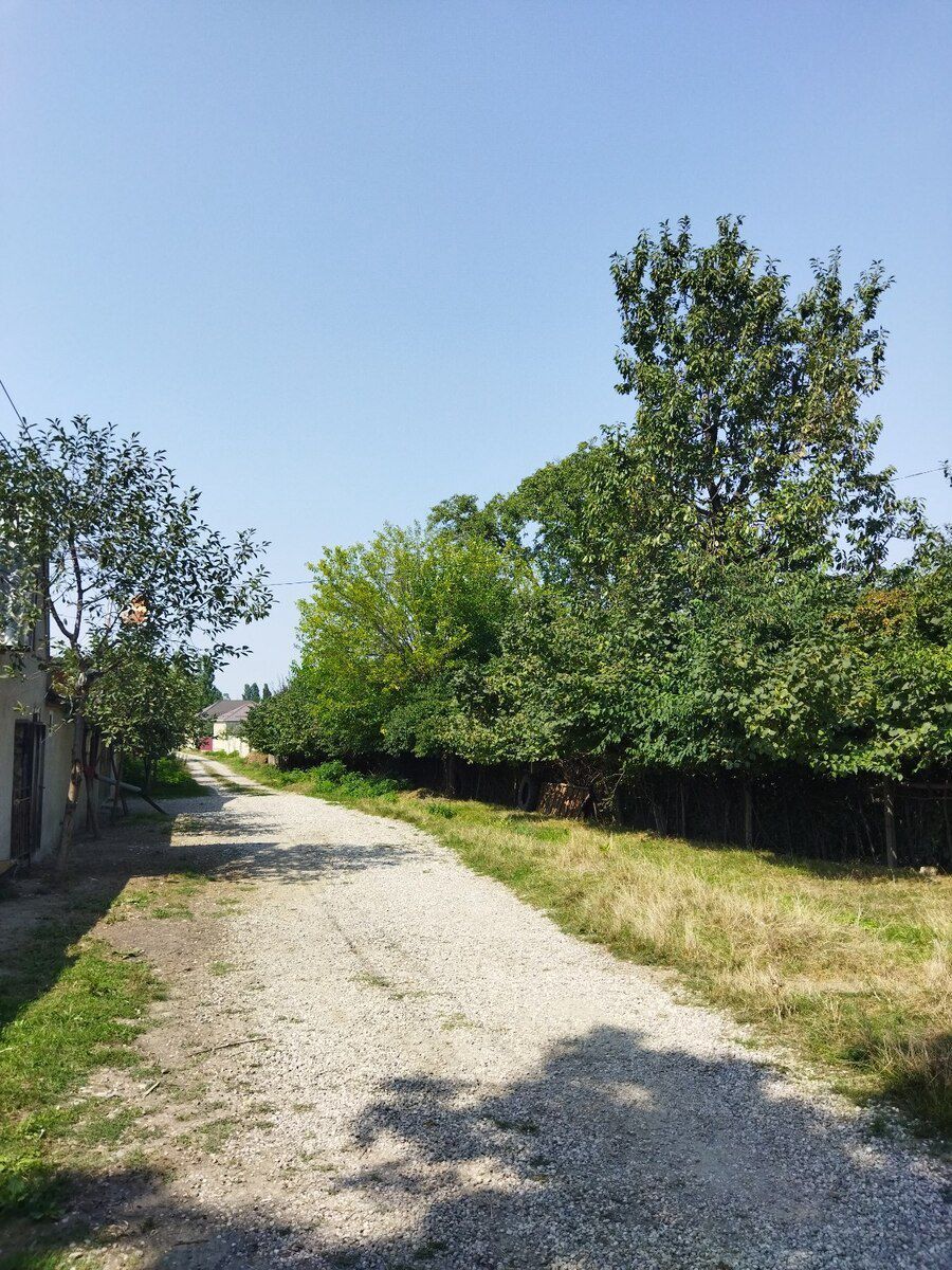 2 sot torpaq sahəsi, Qusar r — Torpaq, Qusar