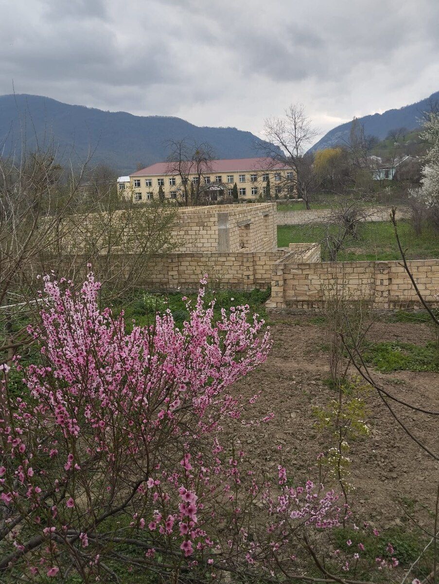 14 sot torpaq sahəsi, Quba r — Torpaq, Quba (5)