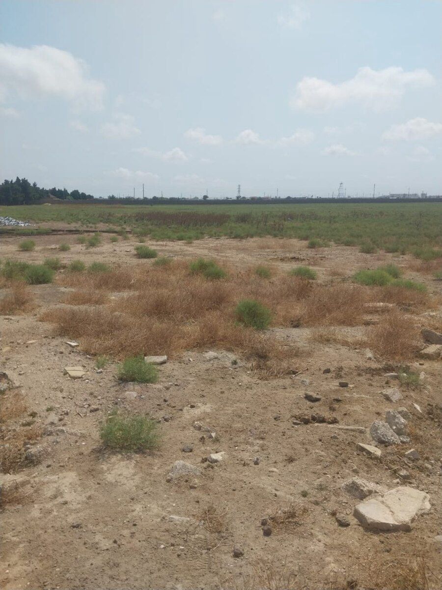 1100 sot torpaq sahəsi, Buzovna qəs — Torpaq, Bakı (7)