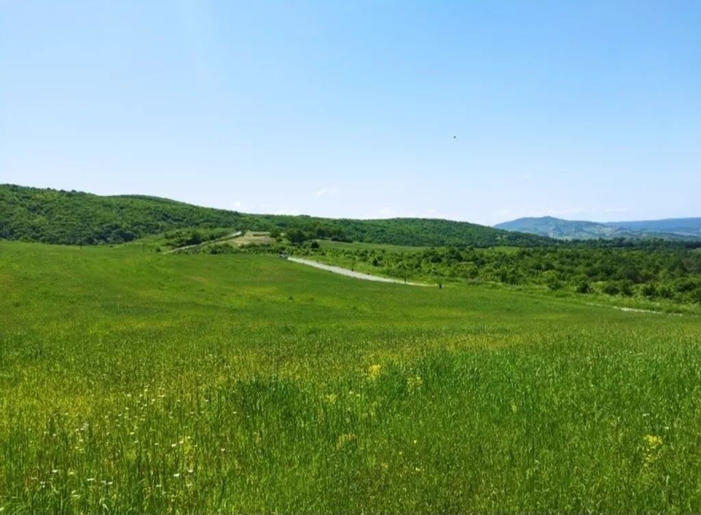 524 sot, Biznes üçün, Barter mümkündür, Kupça (Çıxarış) — Torpaq, Quba (9)