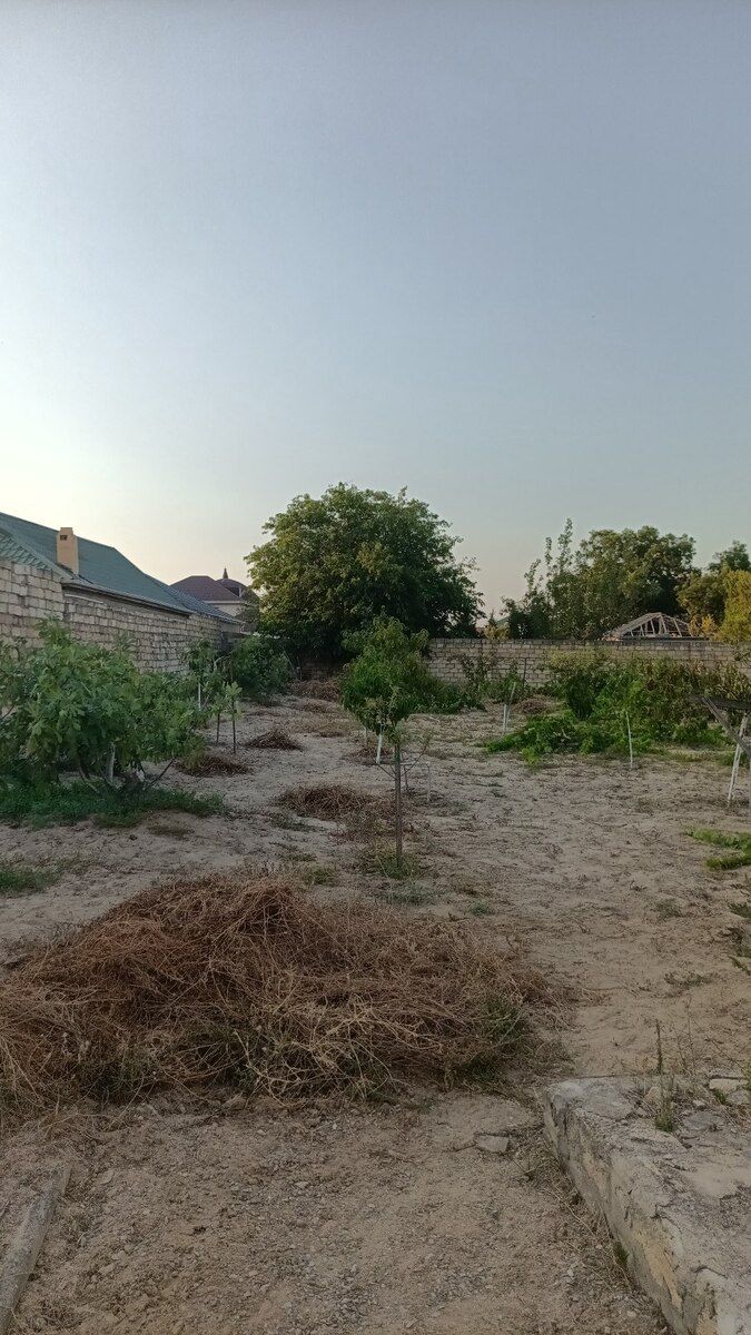 25 sot torpaq sahəsi, Novxanı qəs — Torpaq, Bakı (2)