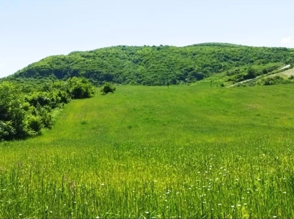 524 sot, Biznes üçün, Barter mümkündür, Kupça (Çıxarış) — Torpaq, Quba (7)