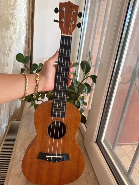 Ukulele – Fantast brendi — Bakı