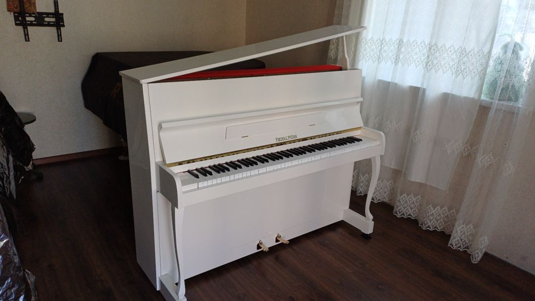 Pianinolar — Musiqiə alətləri, Bakı (11)