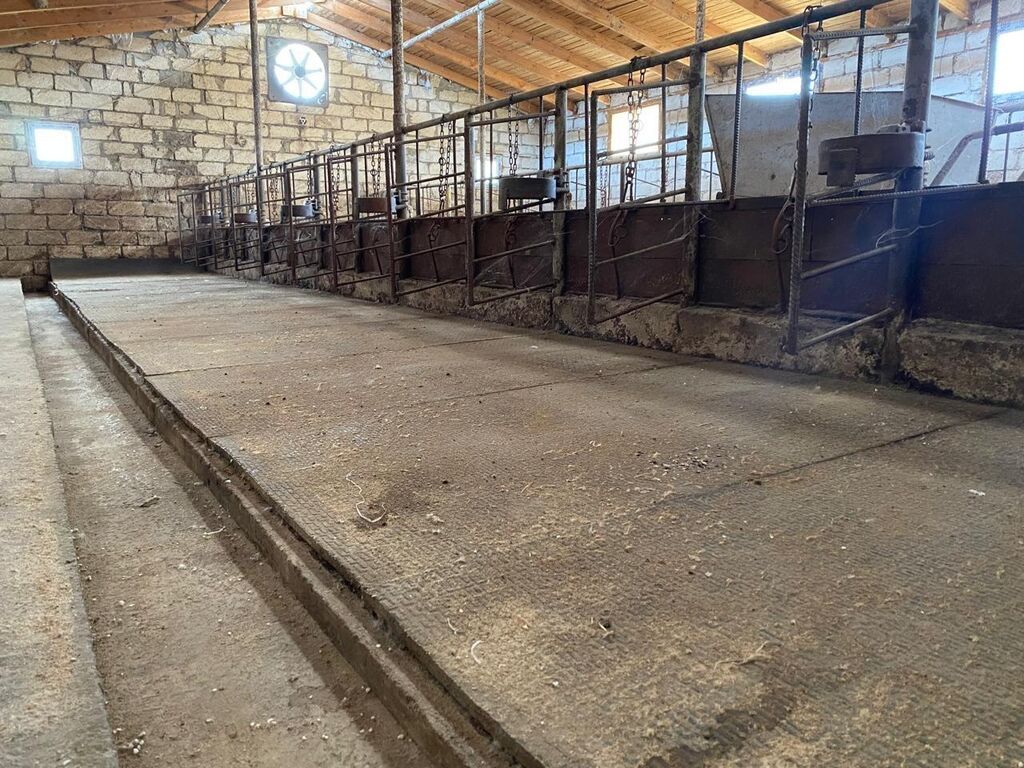 Ferma/Göyçayda 260 hektar sahədə ferma bütün avadanlıqlarla və fermada — Daşınmaz əmlak, Bakı (4)