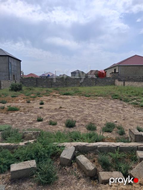 Tikinti, Mülkiyyətçi, Kupça (Çıxarış)