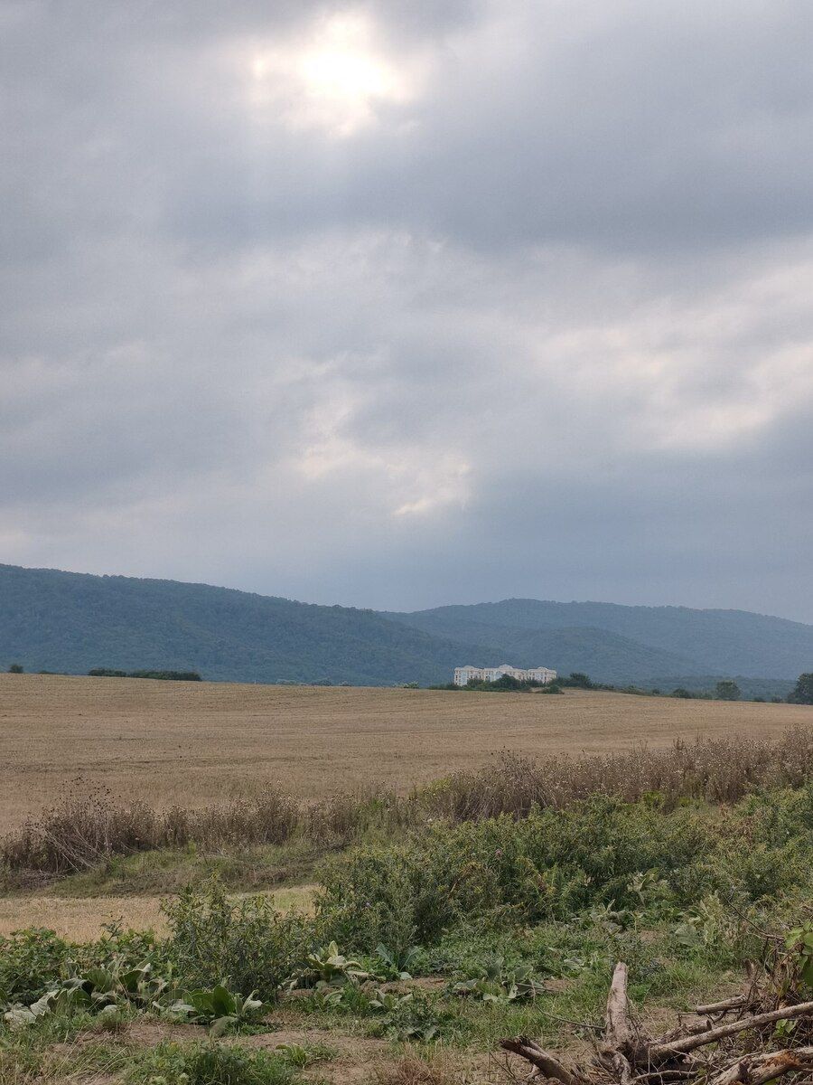 23 sot torpaq sahəsi, Quba r — Torpaq, Quba (5)