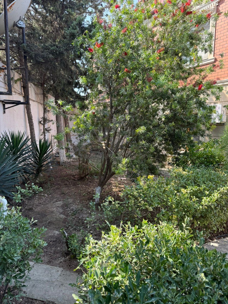 Bağ evi kirayə verilir, Mərdəkan qəs. — Ev, villa, Bakı (6)