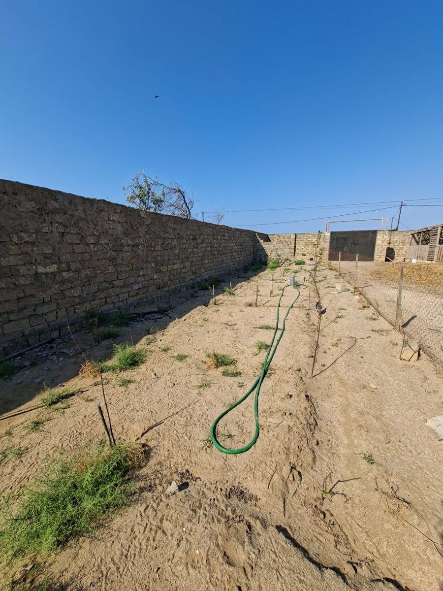 Həyət evi, Zirə qəs. — Ev, villa, Bakı (5)