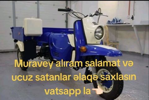 Bakıda uzuz və salamat muravey satanlar əlaqə saxlasın vatsapp la — Digah