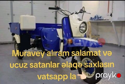Bakıda uzuz və salamat muravey satanlar əlaqə saxlasın vatsapp la