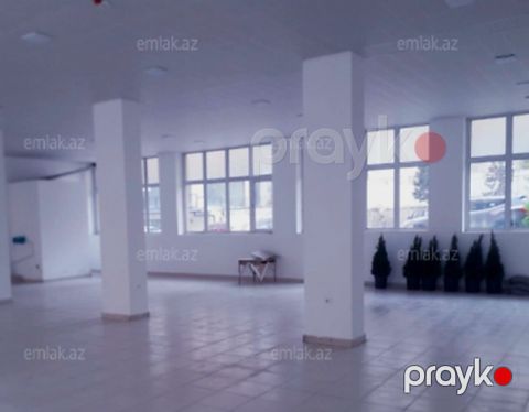 Obyekt, Yeni Yasamal r