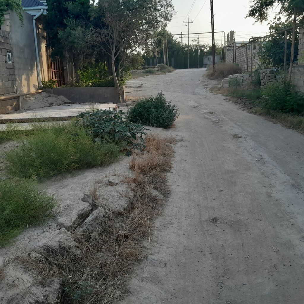 8 sot, Tikinti, Makler, Kupça (Çıxarış) — Torpaq, Digah