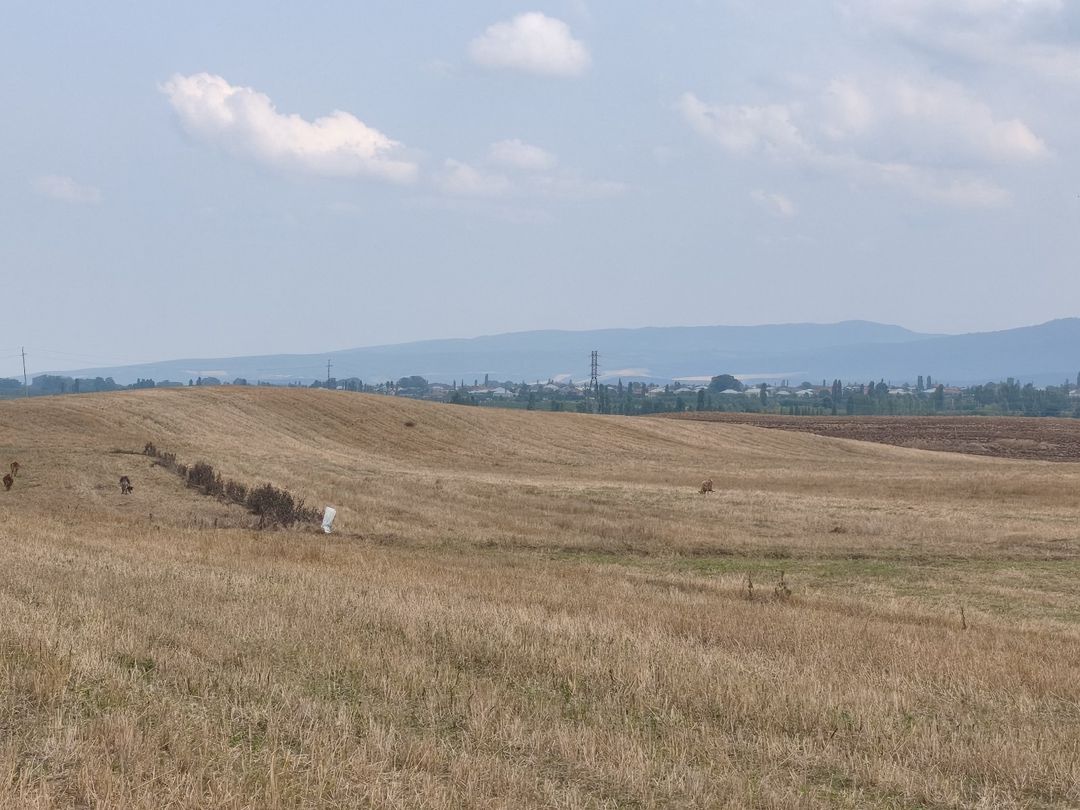 23 sot torpaq sahəsi, Quba r — Torpaq, Quba (10)