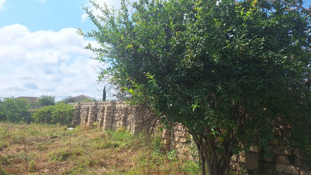 7 sot torpaq sahəsi, Bilqəh qəs. — Torpaq, Bakı (6)