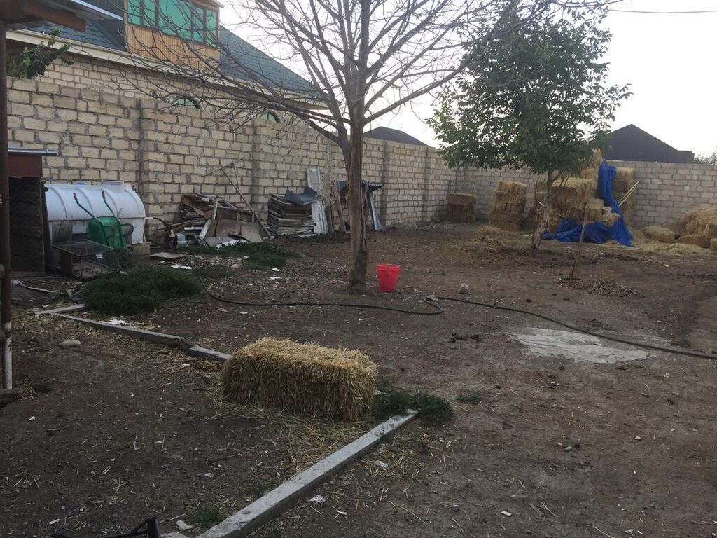 Quşçuluq təsərrüfatı və yardımçı yaşayış sahəsi - Geniş həyətyanı — Kənd təsərrüfatı avadanlığı, Gəncə (8)