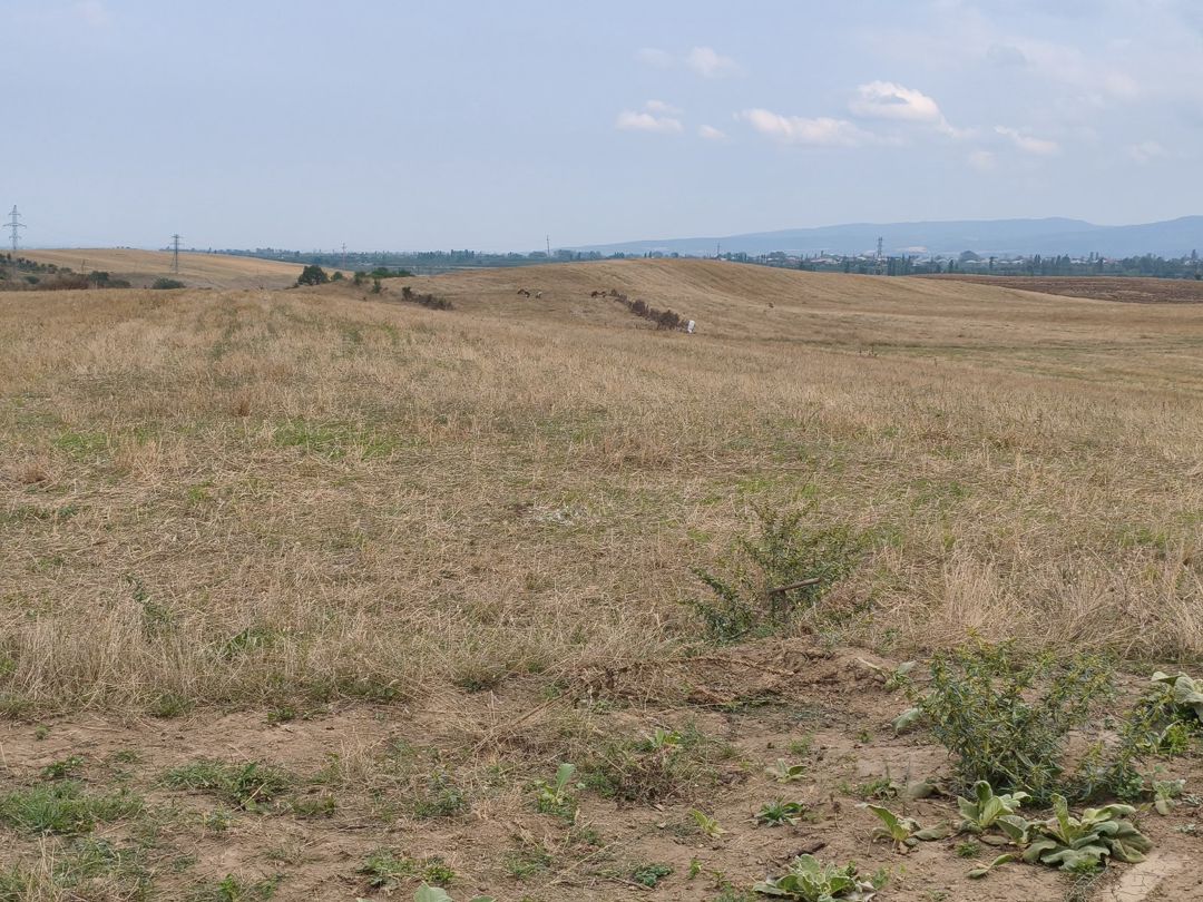 23 sot torpaq sahəsi, Quba r — Torpaq, Quba (6)