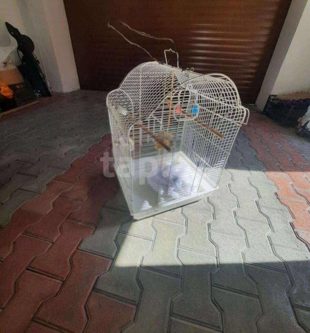 Qəfəslər ikisi bir yerdə 60 manat Qiymət sondur. Buna görə narahat — Qəfəslər, Mehdiabad (2)