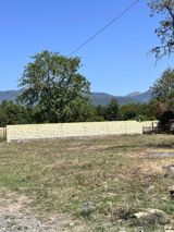 10 sot, Tikinti, Kupça (Çıxarış) — Ramal Zakirli